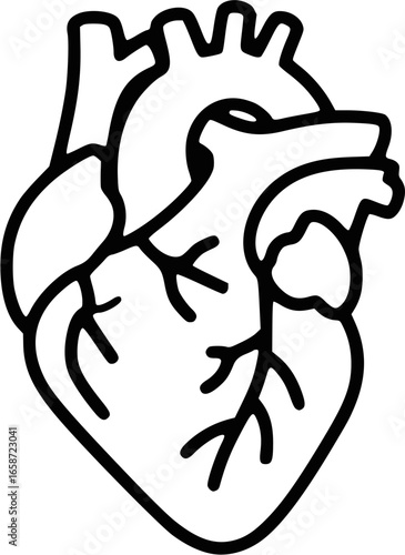 Anatomy of the Human Heart - Black and White Illustration