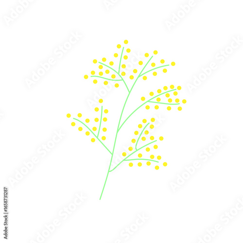 Ragweed, a plant that causes allergies