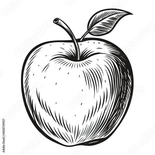 Classic apple with stem and leaf, rendered in a vintage woodcut style, perfect for healthy eating, organic products, and natural ingredient branding.