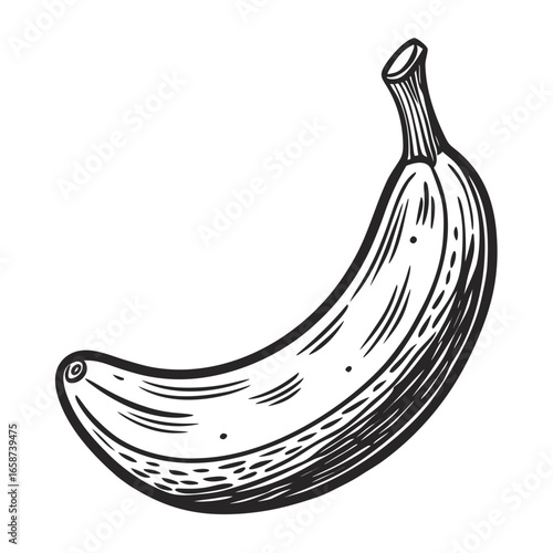 Striking hand-drawn banana illustration capturing natural healthy goodness perfect for food blogs, health campaigns, and vibrant culinary designs that pop with organic appeal.