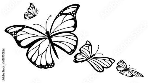 A group of four stylized black and white butterflies in various sizes and flight positions