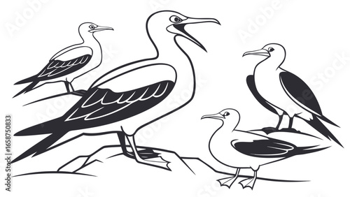 A group of four stylized seagulls standing on rocks with one bird calling out