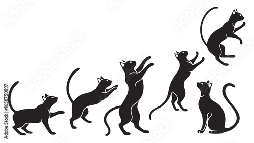 Collection of black cat silhouettes in various playful poses and movements against a white background