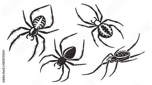 Four black silhouette spiders with detailed legs and patterns on white background