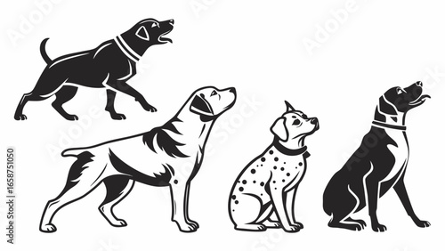 Four stylized black and white dogs in different poses and breeds looking up