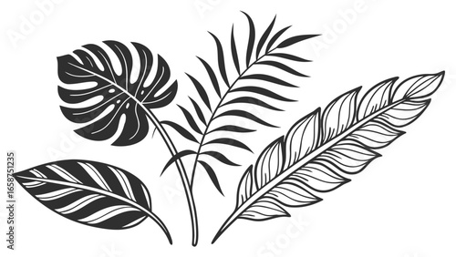 Wallpaper Mural Stylized black and white illustration of tropical leaves and feathers on a white background Torontodigital.ca