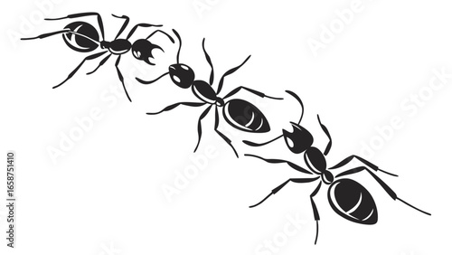 Three stylized black ants in silhouette arranged diagonally on a white background