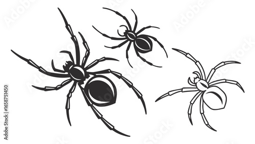 Three stylized black spiders with detailed legs and bodies on a white background