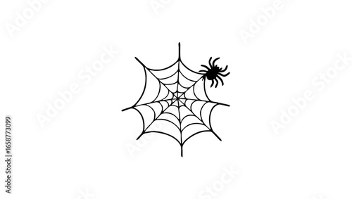 Spider Building Web for Halloween

