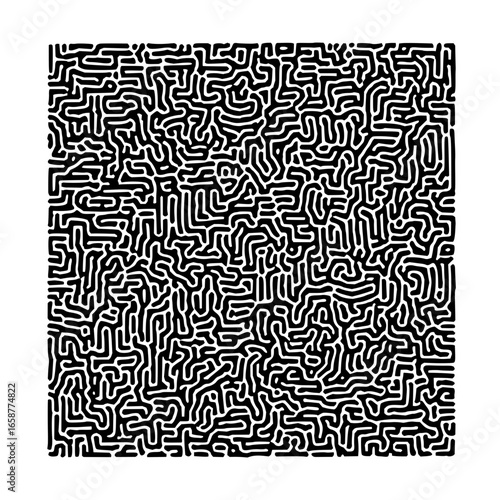 Black and white turing pattern abstract art with intricate line work and organic shapes design element