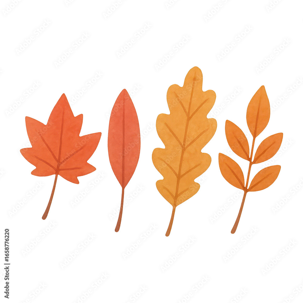Fototapeta premium PNG Colorful autumn leaves illustration.