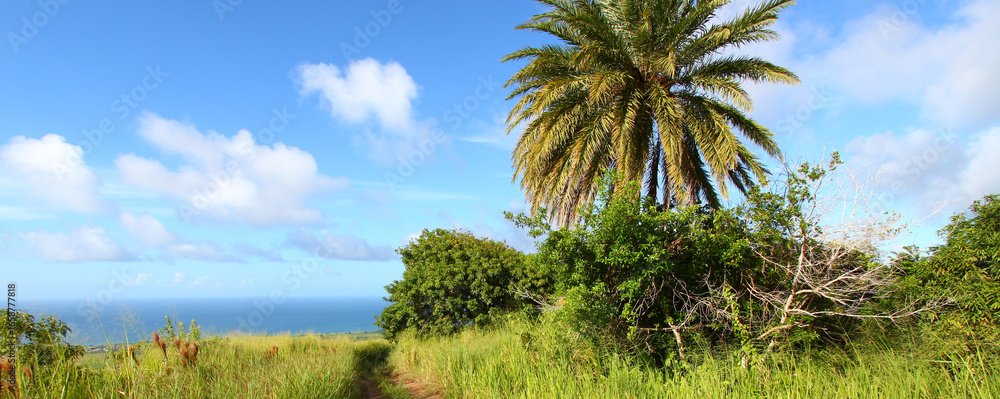 Obraz premium Saint Kitts Landscape