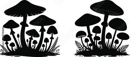 black and white mushrooms