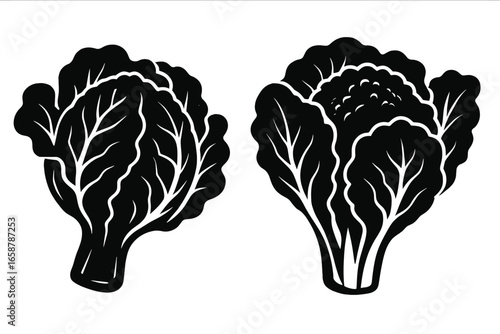 Asian Cuisine Leafy Vegetable Design represented by Flat Vector Bok Choy Icon