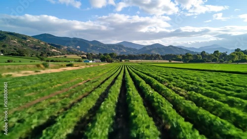 Wallpaper Mural Aerial View of Green Farm Fields with Mountains and Cloudy Sky in Background on Sunny Day Torontodigital.ca