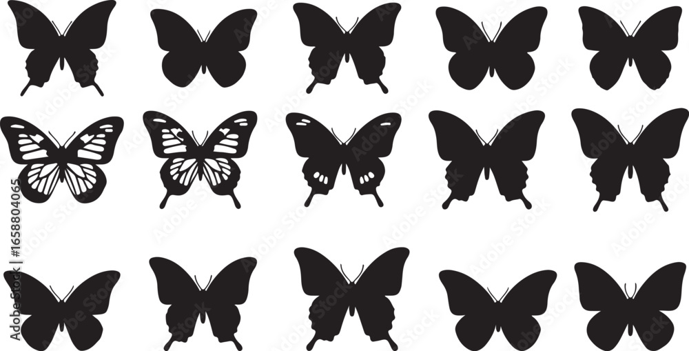 Fototapeta premium Web