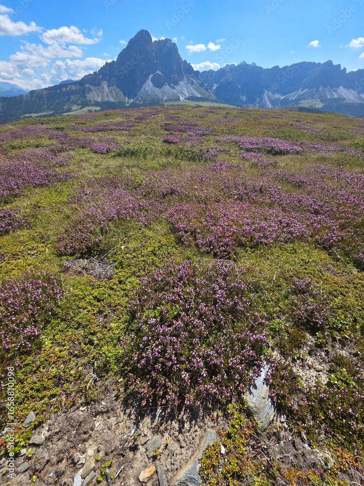 Monte Muro Maurerberg Dolomites huge panorama landscape in summer season Monte Muro Maurerberg Dolomites huge panorama landscape in summer season