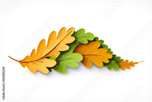 Golden Oak Leaf on White Background

