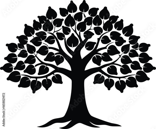 Hazelnut Tree Silhouette