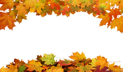 Autumn maple leaves border.  Vibrant fall colors autumn  foliage cut outs
