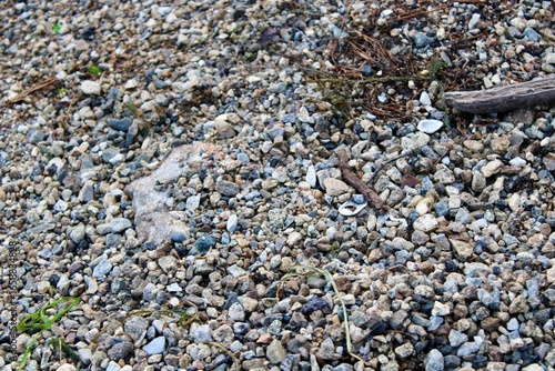 Natural Gravel Texture With Mixed Stones Showcases Earth's Diverse Minerals and Unique Formations, Perfect for Backgrounds and Design Elements