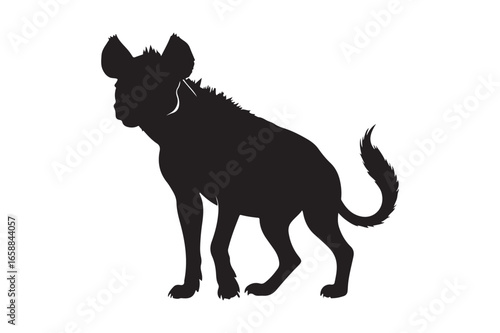 Silhouette of a hyena standing on a white background
