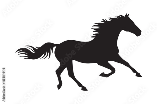 Majestic black horse silhouette galloping freely