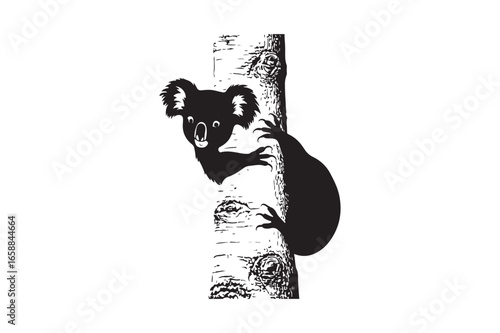 Silhouette of a koala clinging to a eucalyptus tree trunk