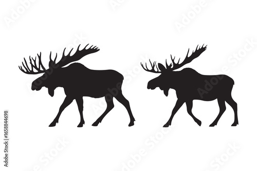 Two majestic moose silhouettes in black and white