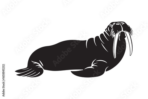 Silhouette of a walrus with tusks