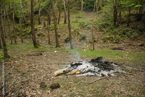 Scenic forest campfire in Mazandaran with smoldering logs, surrounded by lush greenery. Perfect for outdoor adventure and nature stock photos.