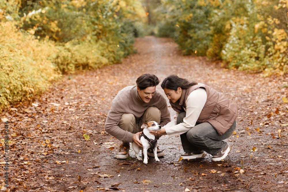 Fototapeta premium Side view of an Asian couple laughing while walking a small white dog on a forest path. Casual autumn clothes. Great for love, outdoor lifestyle, pet owners, and relationship themes. Copy space.