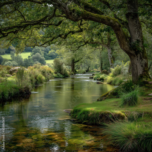  Wide River Surrounded by Lush Green Trees in a Serene Environmental 