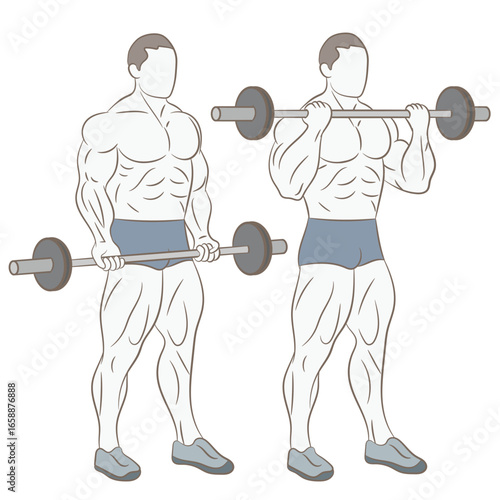 Man doing weights in the gym. Exercising muscles in the gym.