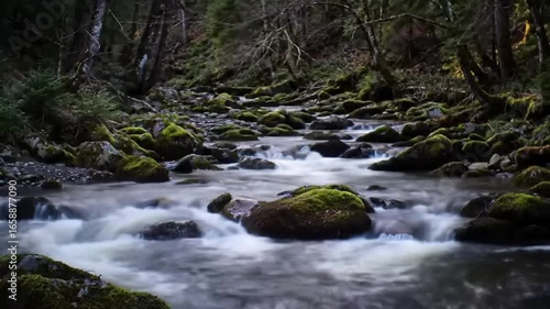 Serene River Flowing Through a Lush Mossy Forest Scene