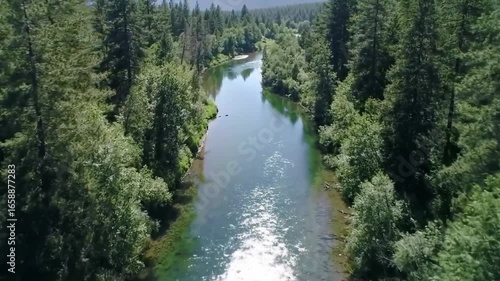 Serene River Flows Through Verdant Forest Landscape On Sunny Day
