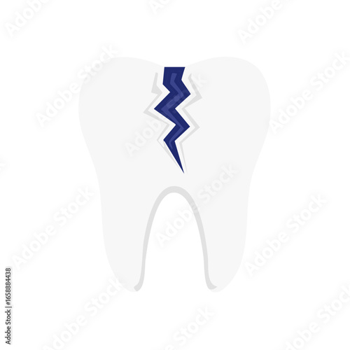 Illustration of a cracked molar tooth, dental care and tooth trauma concept