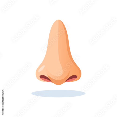 Isolated Nose Illustration Detailed Human Face Part Cartoon Style Anatomical Health Care Symbol for Respiration Medical Study