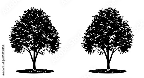 A pair of black deciduous tree silhouettes with dense foliage presented in a clean graphic vector style.