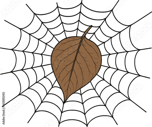 A single, large leaf is caught in the web, its veins mirroring the web's own pattern. This interaction creates a visual dialogue between the web's