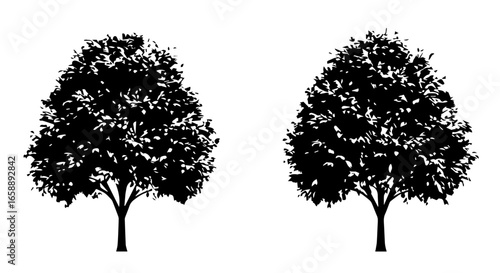 Set of two stylized black deciduous tree silhouettes with dense leafy crowns and sturdy trunks.