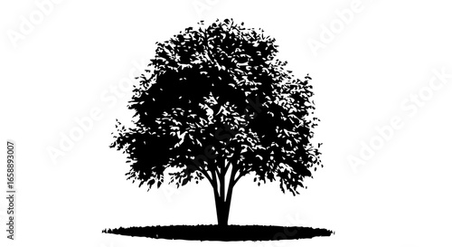 Stylized black silhouette of a lush leafy tree with a detailed canopy and trunk.