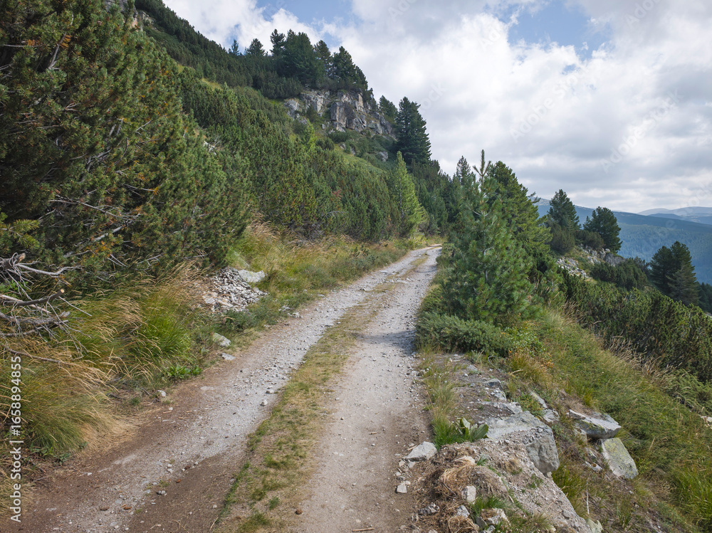 Obraz premium Rila mountain near Granchar Lake, Bulgaria