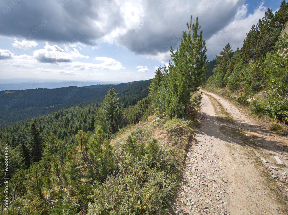 Obraz premium Rila mountain near Granchar Lake, Bulgaria