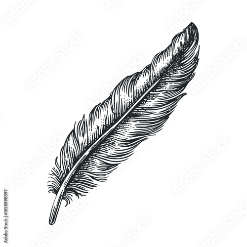 Elegant feather design for creative projects and artistic expression
