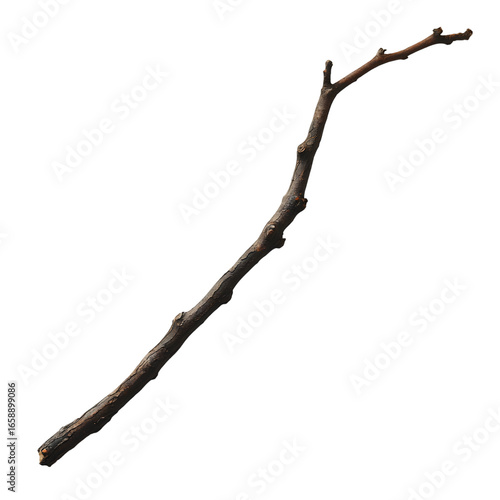 Blackthorn Twig Stick
