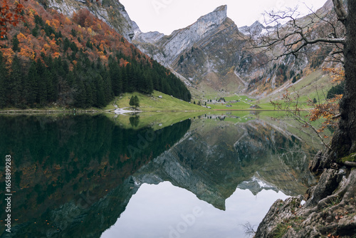 Spiegelglatter Seealpsee im idylischen Herbst, Alpstein