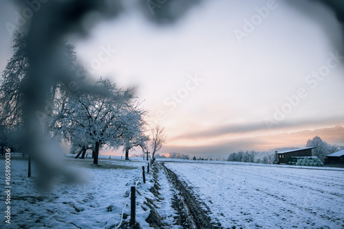 Peaceful and cold winter sunrise with rime ice in the countryside