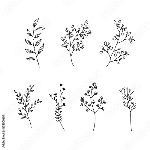 Delicate Botanical Set. Collection of delicate hand-drawn botanical elements, perfect for organic designs, invitations, and eco-themed visuals.