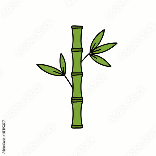 A simple green bamboo stalk with leaves, isolated on a white background, representing nature and growth.